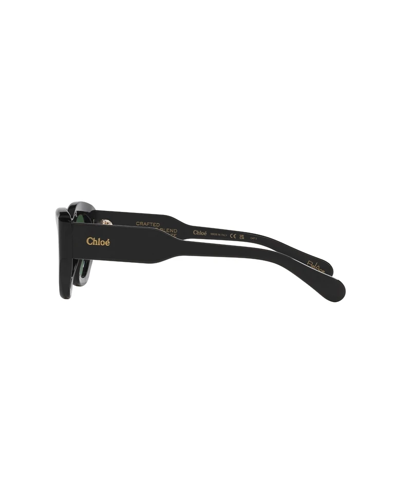 Chloe Women's Cat Eye Sunglasses, CH0220S 6N000523
