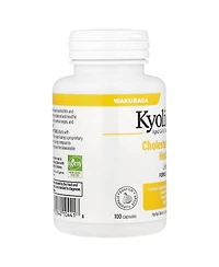 Kyolic Aged Garlic Extract Cholesterol Health with Lecithin Formula 104