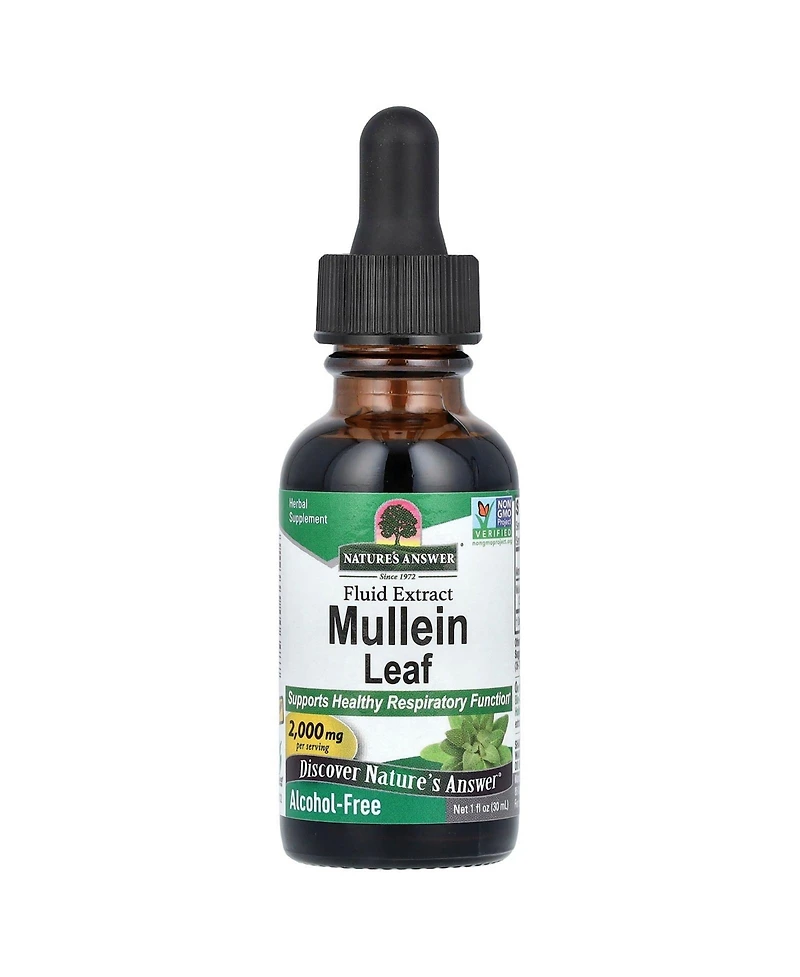 Nature's Answer Mullein Leaf Fluid Extract Alcohol-Free 2 000 mg - 1 fl oz (30 ml)