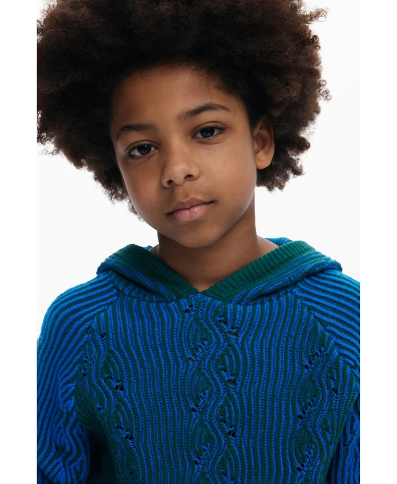 Desigual Boys's Blue hooded sweater