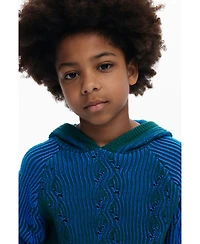 Desigual Boys's Blue hooded sweater