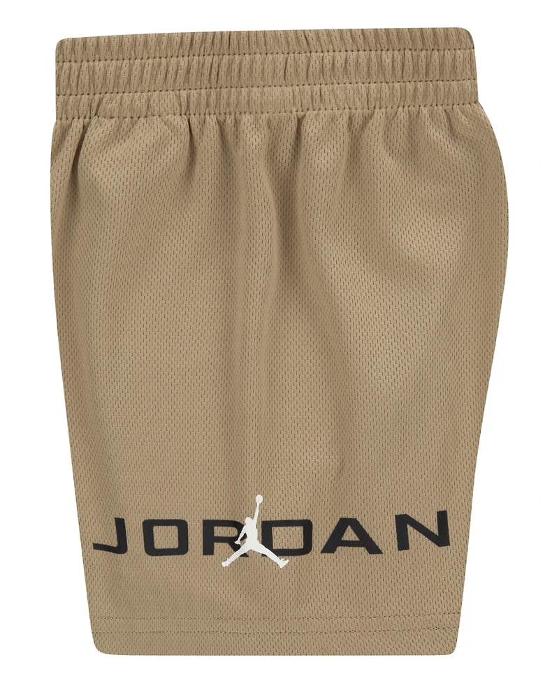 Jordan Toddler Boys 2-Piece T-Shirt and Mj Baseline Mesh Shorts Set