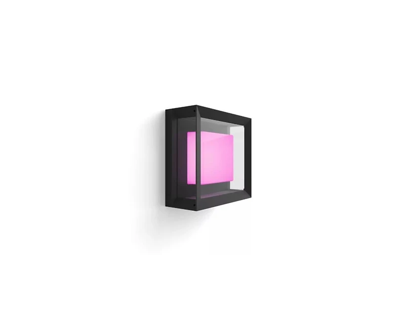 Philips Hue White and Color Ambiance Econic Outdoor Wall and Ceiling Light - Black