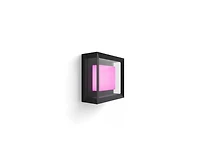 Philips Hue White and Color Ambiance Econic Outdoor Wall and Ceiling Light - Black