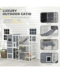PawHut Large Catio Outdoor Cat Enclosure for 2-3 Cats 76" x 36" x 68"