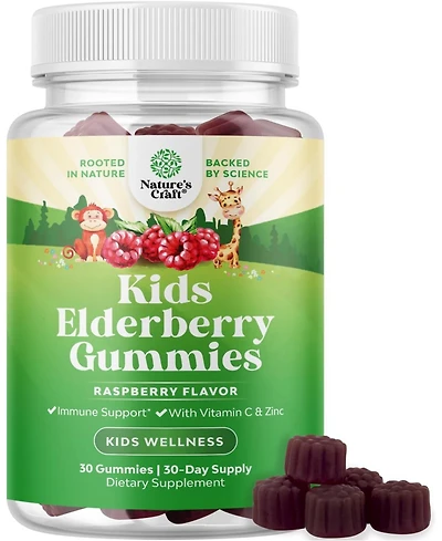 Nature's Craft Kids Elderberry Gummies with Zinc & Vitamin C, Daily Immune Support Gummies for Children, Raspberry Flavor, Nature's Craft, 30ct
