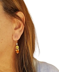 Minu Jewels Carnelian & Amazonite Drop Earrings