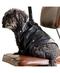K9 Wear Starter Kit with Genuine Leather Jacket