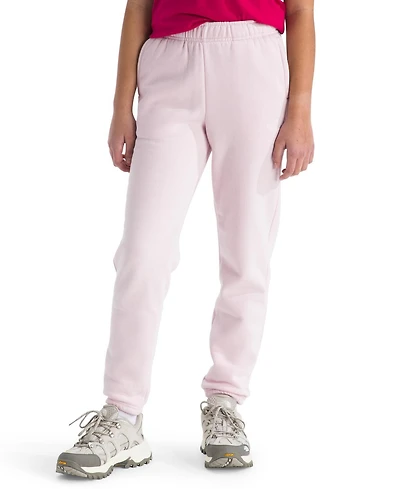 The North Face Big Girls Evolution Jogger Pants