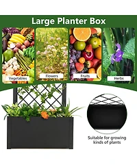 Gymax Raised Garden Bed with Trellis Metal Planter Box w/ Lattice for Climbing Plants