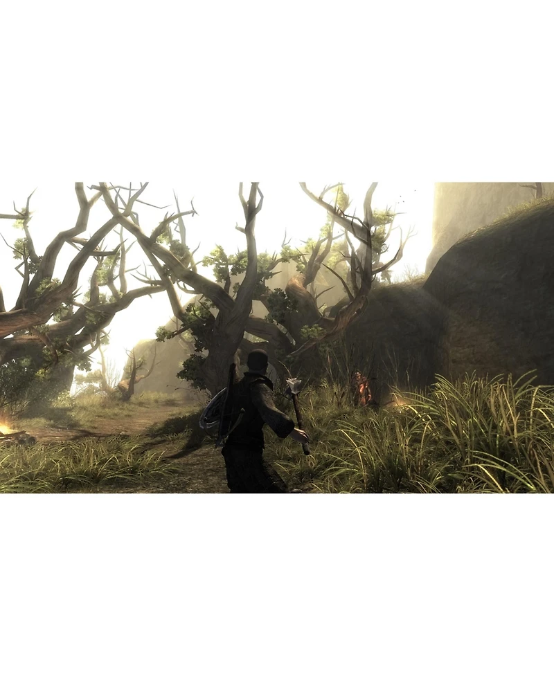 Thq Nordic Risen