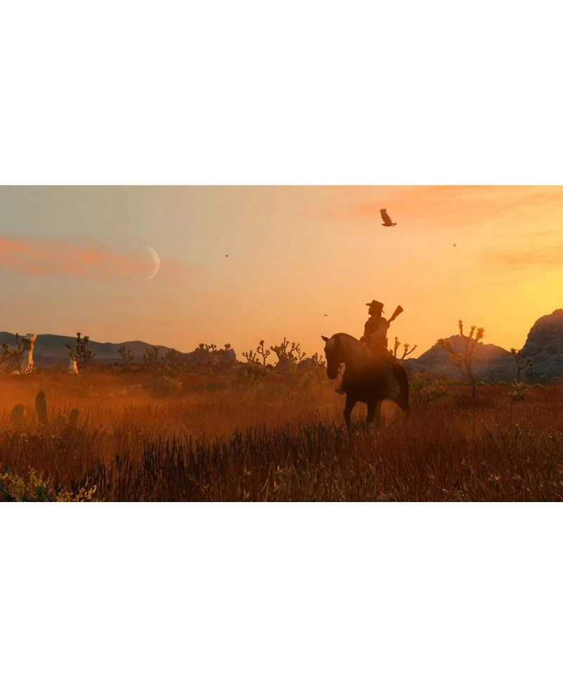 Nintendo Red Dead Redemption for Nintendo Switch