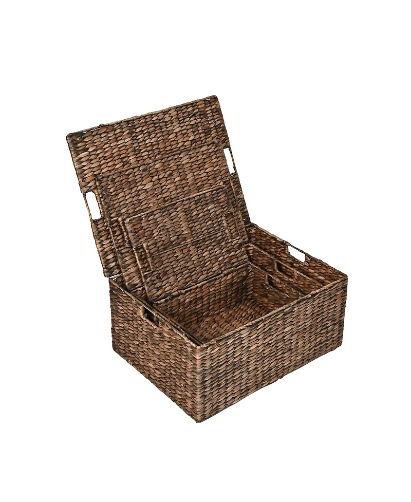 Happimess Brooks Classic Farmhouse Woven Hyacinth Rectangular Storage Baskets with Lids and Handles (Set of 3)