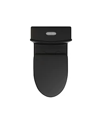 Casainc Dual Flush 1.1/1.6 Gpf Elongated One-Piece Bathroom Fixture, Comfort Height, Water-Saving Design, Map 1000g