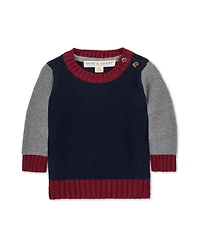 Hope & Henry Baby Boys' Organic Long Sleeve Crewneck Pullover Sweater
