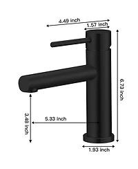 Greenspring Single Hole Single-Handle Bathroom Faucet in Matte Black