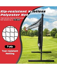 Bearwill 9 Hole Pitching Net for Baseball & Softball - with Strike Zone, Adjustable Throwing Target, Training Equipment