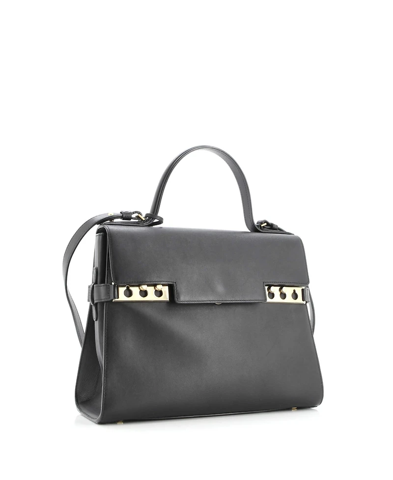 Pre-Owned Delvaux Gm Tempete Top Handle Bag Leather