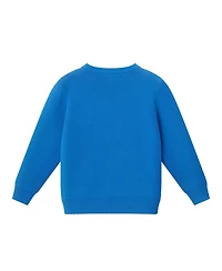 Andy & Evan Toddler/Child Boys Race Car Sweater