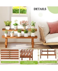 Costway 2 Tier Wood Plant Stand with Teak Oil Finish Indoor & Outdoor Flower Pot Holder