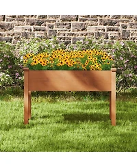 Gymax Raised Garden Bed Elevated Fir Wood Planter Box w/ Drain Hole Garden Planter