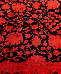 Adorn Hand Woven Rugs Fine Vibrance M1411 Rug Collection