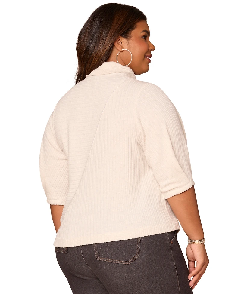 Democracy Plus Pleated Elbow Sleeve Mock Neck Knit Top