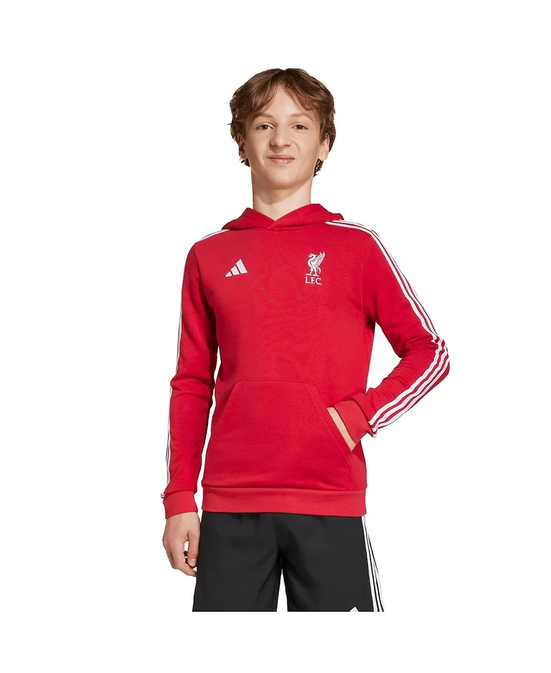 Adidas Big Boys and Girls Red Liverpool Dna Hoodie