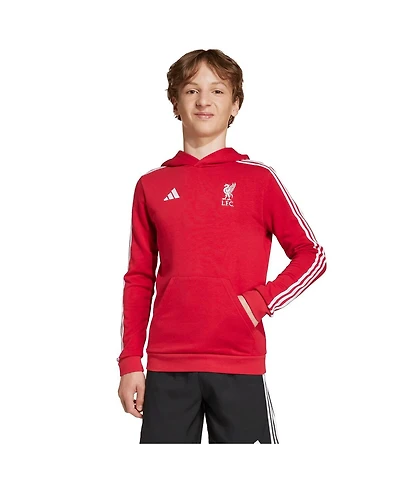 Adidas Big Boys and Girls Red Liverpool Dna Hoodie