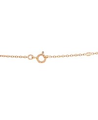 Pre-Owned Hermes Amulettes Constance Pendant Nm Necklace
