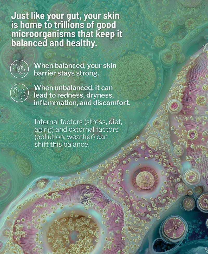 dr. brandt Cool Biotic Prebiotic Redness Relief Cream