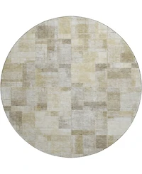 Dalyn Ravenna RN4 8'x8' Round Area Rug