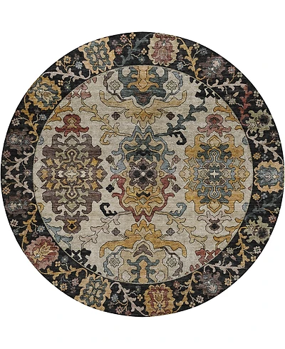 Dalyn Silk Road Washable SR5 8'x8' Round Area Rug