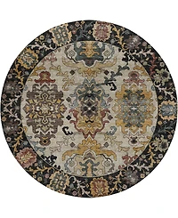 Dalyn Silk Road Washable SR5 8'x8' Round Area Rug