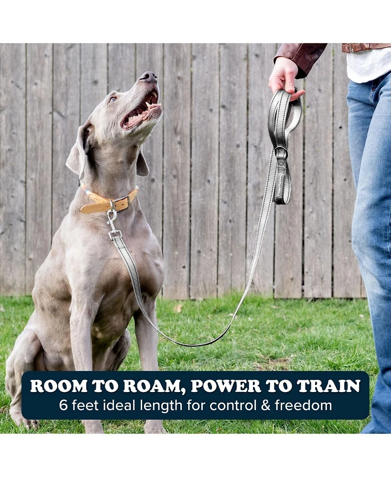 Puppington Reflective Leash