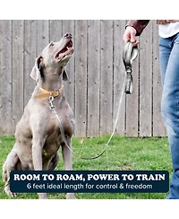 Puppington Reflective Leash