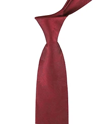 Calvin Klein Men's Kaiden Botanical Tie