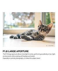 TTArtisan Ttartisan Af 35mm f/1.8 Ii Lens for Fuji X, Black