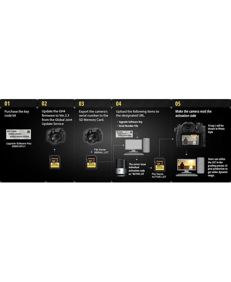 Panasonic V-Log L Function Firmware Upgrade Kit for Dmc-GH4, Dc-GH5, and Dmc-FZ2500 Cameras, Card with Software Activation Code