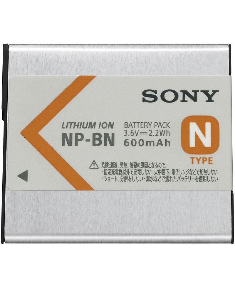 Sony Rechargeable Batt Pk