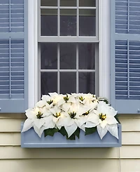 Puleo 24" Pre-Lit Artificial White Poinsettia Window Box Decor