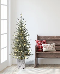 Puleo 4.5' Pre-Lit Artificial Potted Arctic Fir Tree