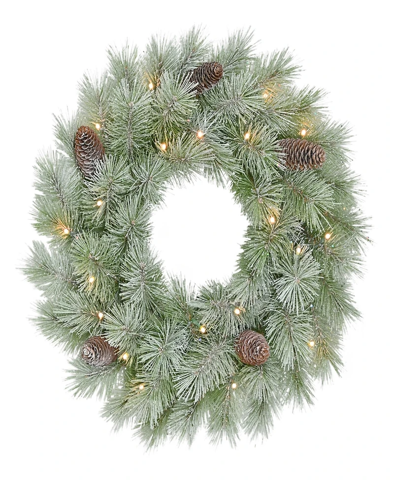 Puleo 24" Pre-Lit Artificial Flocked Wreath