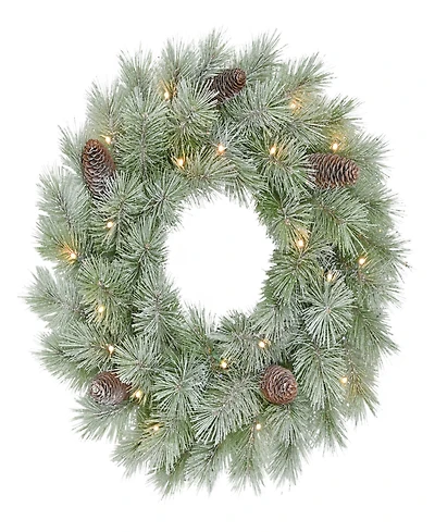 Puleo 24" Pre-Lit Artificial Flocked Wreath
