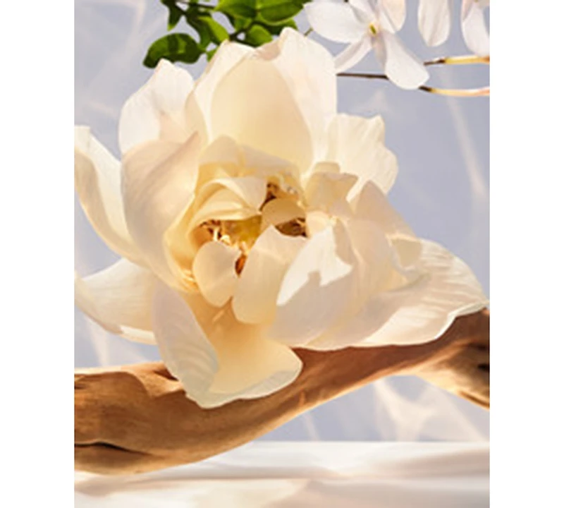 Bvlgari 2-Pc. Omnia Crystalline Eau De Parfum Gift Set