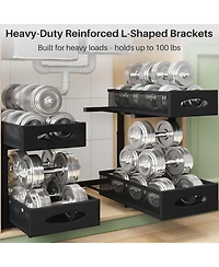Kitstorack Under Sink Organizer, 2 Tier Pull out Cabinet Organizer Baskets with Mesh Sliding Drawers, Slide out Storage Shelf for Home, Kitchen, Bathr