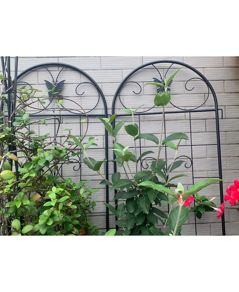 Streamdale Furniture Metal Garden Trellis 2-Pack for Climbing Plants