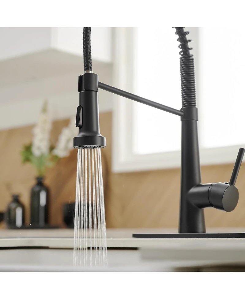 Greenspring Single-Handle Pull-Down Sprayer 2 Spray High Arc Kitchen Faucet With Deck Plate in Matte Black