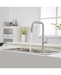 Greenspring Single Handle Pull-Down Sprayer 1 Spray High Arc Kitchen Faucet With Deck Plate in Brushed Nickel