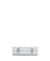 Pre-Owned Goyard Minaudiere Bag Coated Canvas